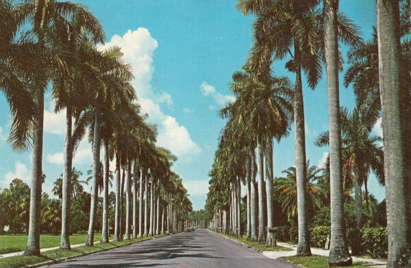 2025 - Present Fort Myers